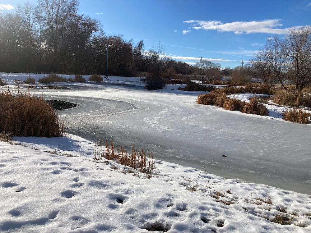 weiser pond